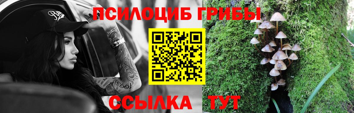 Псилоцибиновые грибы ЛСД  Вход с VPN  Коркино 